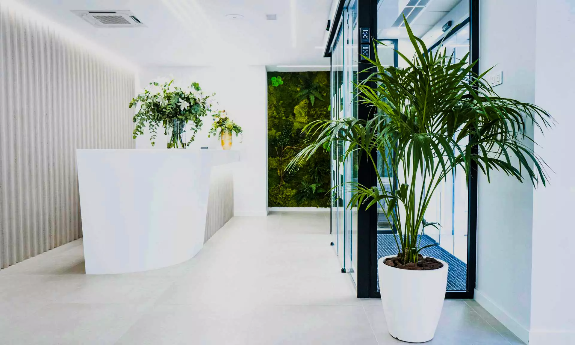 Limpieza bucal con ultrasonidos, fluorización, pulido y revisión