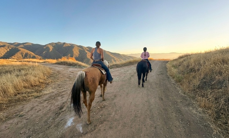 Image 3: Guided Horseback Riding: Sunset, Adventure & Beach Trails