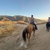 Image 3: Guided Horseback Riding: Sunset, Adventure & Beach Trails