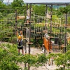 Image 2: Forge Adventure Park: All-Day Zipline, Climbing & Outdoor Adventures