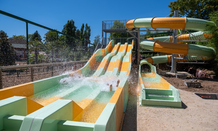 Image 15: 1 entrée adulte ou enfant pour le Touroparc Zoo