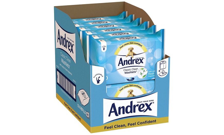 Image 1: Andrex Toilet Tissue Wipes