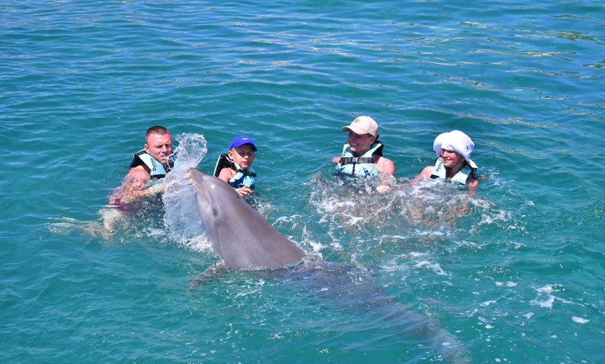 Image 2: Up to 42% Off Dolphin Experiences at Dolphin Discovery