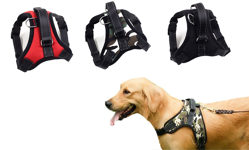 Image 1: Dog Harness with Leash 