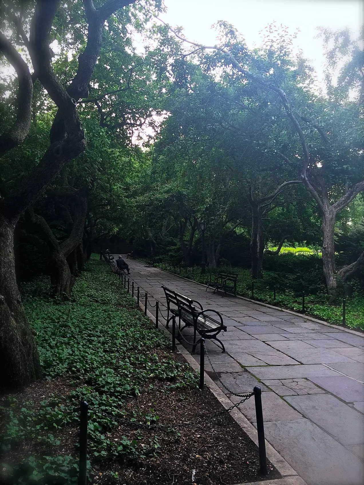Discover Central Park with Central Park Day Tour: 90-Minute Adventure Up to 25% Off - Second Medium