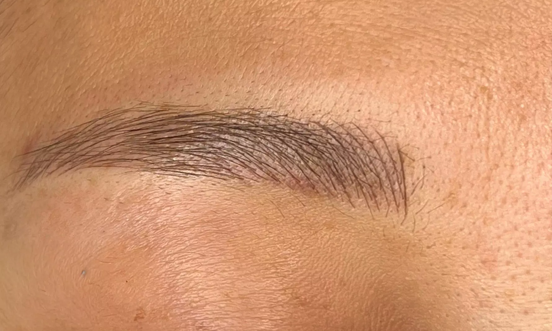 Get One Microblading, Combination Brow, & Ombre Session