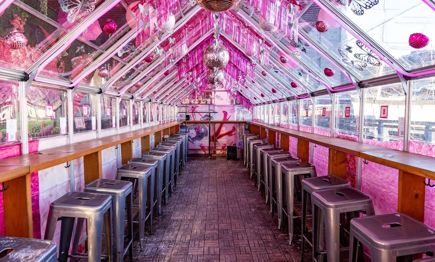 Image 9: VIP General Admission with Flex Pass Ticket to Pink Pier