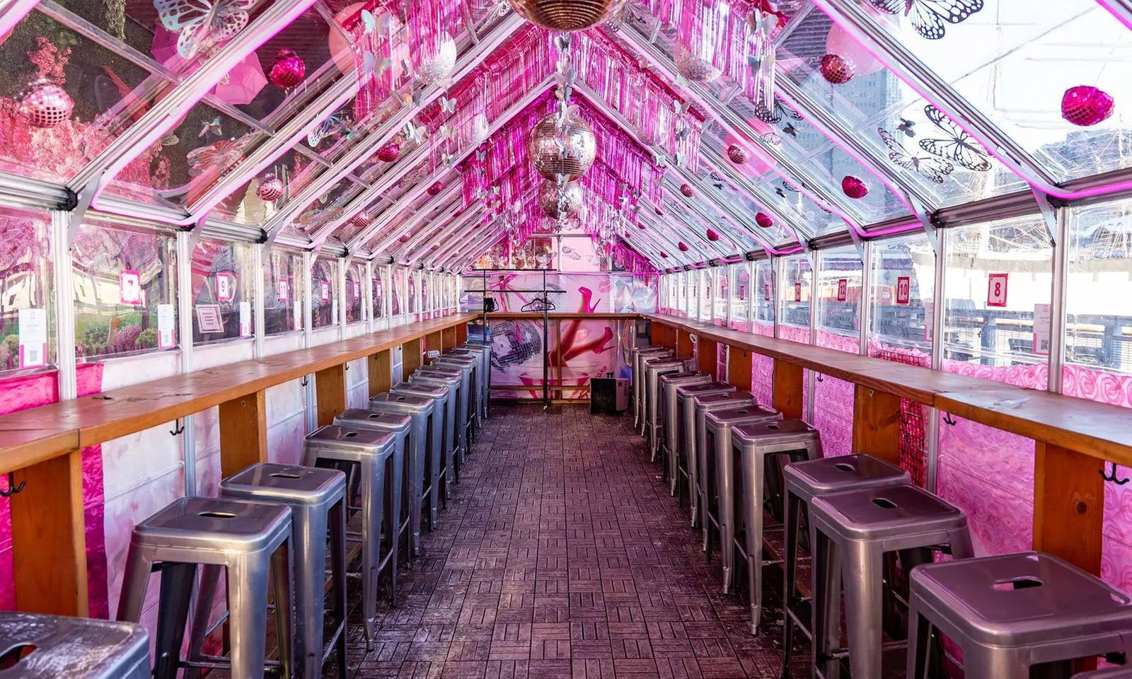 VIP General Admission with Flex Pass Ticket to Pink Pier