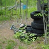 Image 3: Outdoor Tactical Laser Tag Outing in Wiscasset