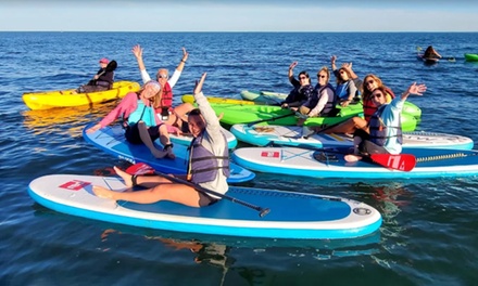Weekday Sit on Top Kayak or Paddleboard 2 Hours Experience - Scoot & Paddle
