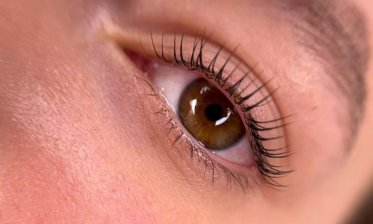 Get Glam with Premium Eyelash Lift and Tint