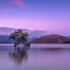 Image 3: ✈ New Zealand: 4 Nights with Flights, Choice of Hotel Stay, & Car Hire