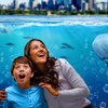 Image 3: Visit any 3 Top Attractions: Sea Life Sydney, Madame Tussauds & More