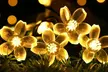50 LED Multi-Coloured Solar Cherry Blossom Lights-Multi-color/Warm/White x1 or x2 (Up to 62% Off); Free Shipping - Second Medium