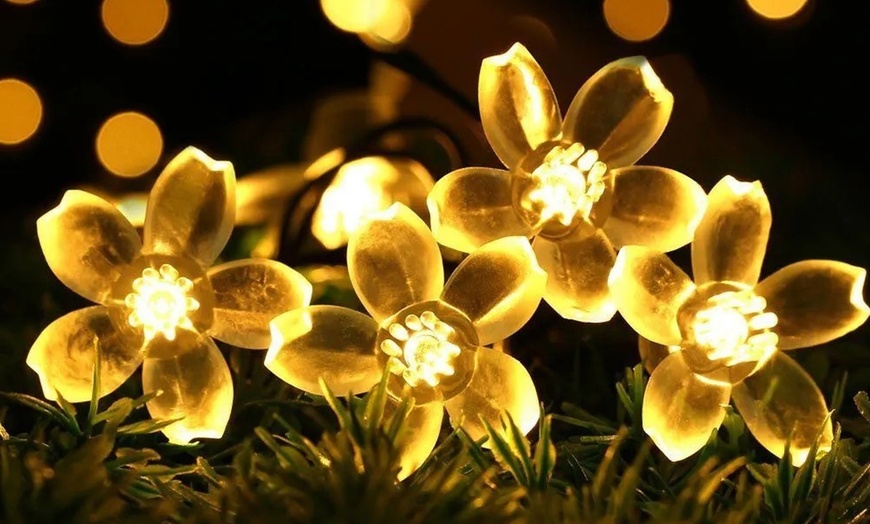 Image 5: 50 LED Multi-Coloured Solar Cherry Blossom Lights Options