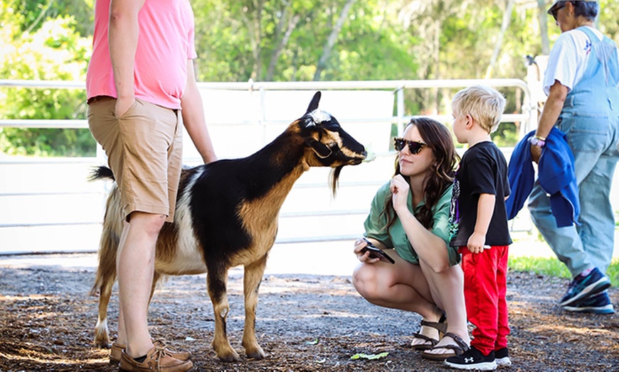 Image 2: Visit Rooterville Animal Sanctuary: Admission for 1, 2, or 4 People