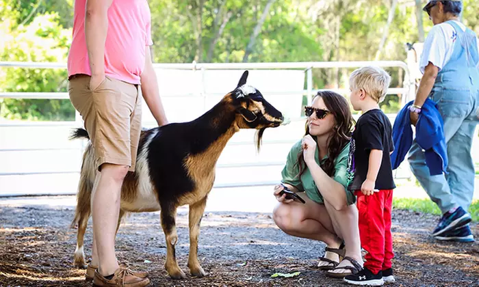 Visit Rooterville Animal Sanctuary: General Admission for One, Two, or Four People (Up to 40% Off) - Primary Image
