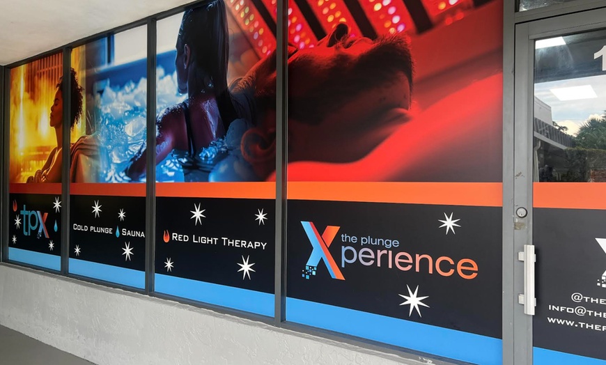 Image 10: 45-Minute Cold Plunge, Sauna and Red Light Therapy Sessions 