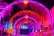 Experience Spooktacular Fun with an Evening Passport for HallOVeen at Opportunity Village (Up to 26% Off) - Second Medium