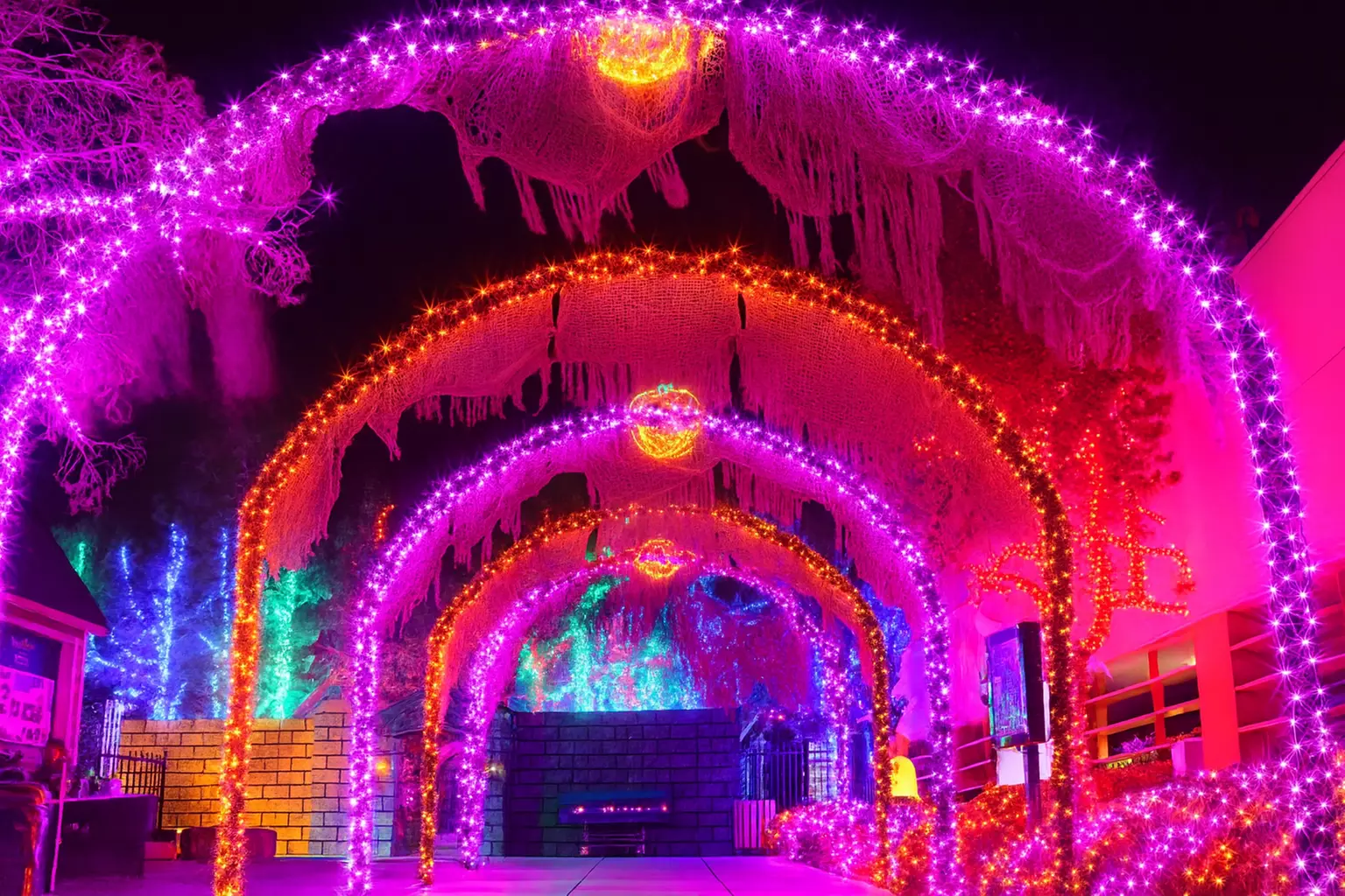 Get a Spooktacular HallOVeen Passport at Opportunity Village