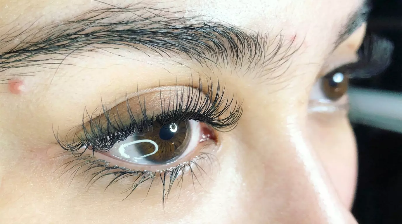 Choice of Eyelash & Brows Services and Packages