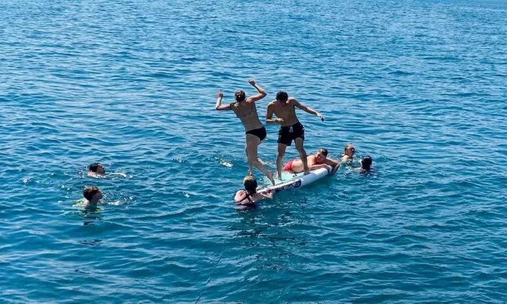 Crucero de 2 horas en yate para avistamiento de delfines con bebida