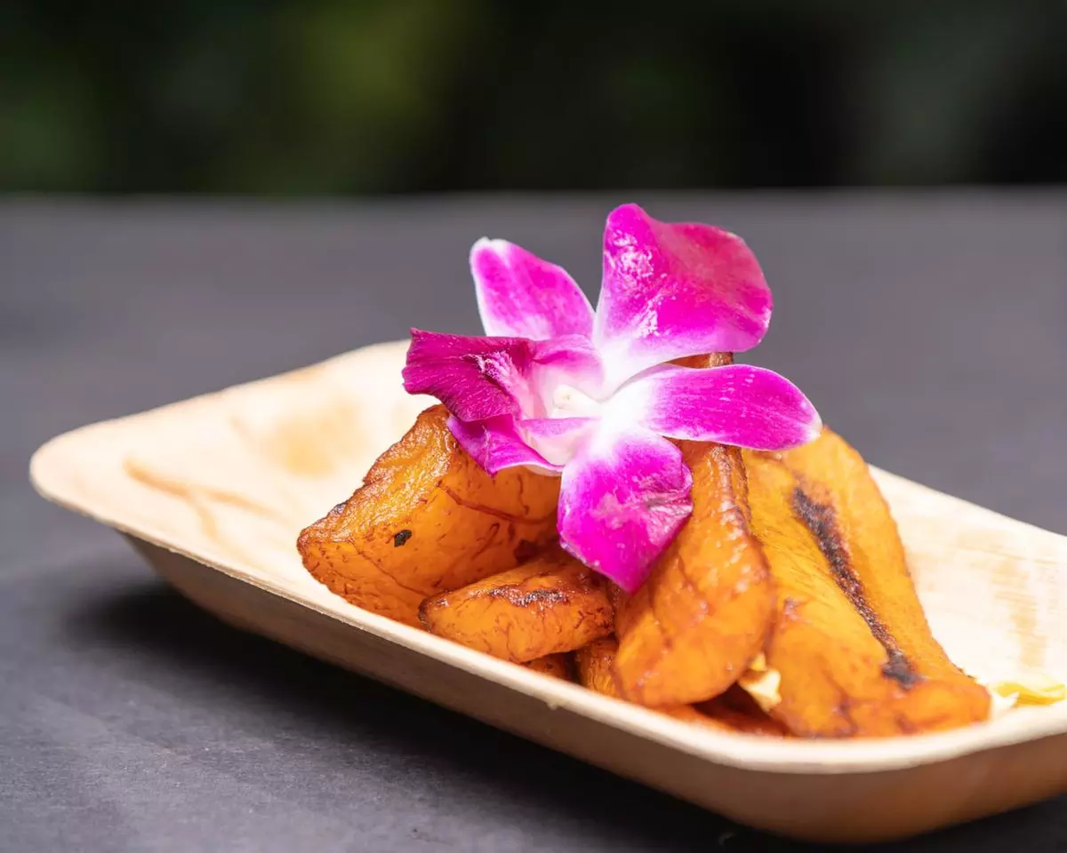 Experience Vegan Food Festival -  Express Tickets for 1, 2, or 3