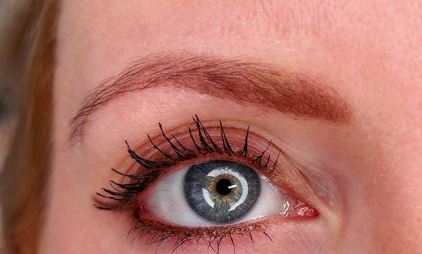Image 1: Transform Your Look with One Powder Brow or Lip Blushing Sessions