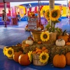 Image 8: Up to 37% Off Inflatable Park and Pumpkin Patch - ABC Tree Farm