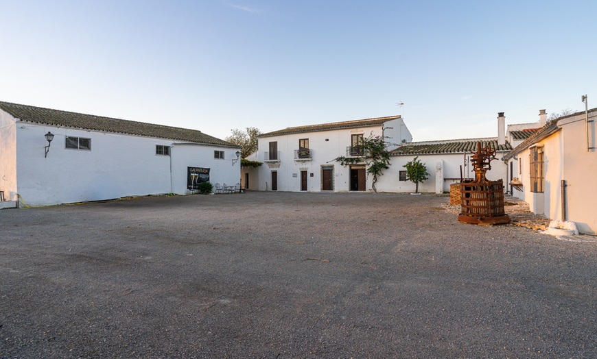 Image 4: Visita a bodega y cata de 5 vinos premiados o almuerzo/cena para 2 o 4