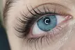 Elevate Your look with Lash Lift and Tint with Iryna at Estetika The House of Beauty ( Up to 44% Off ) - Second Medium