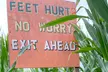 Get Admission to Flashlight Corn Maze Experience with Cider Included - Up to  28% Off At Westhaven Farm - Second Medium