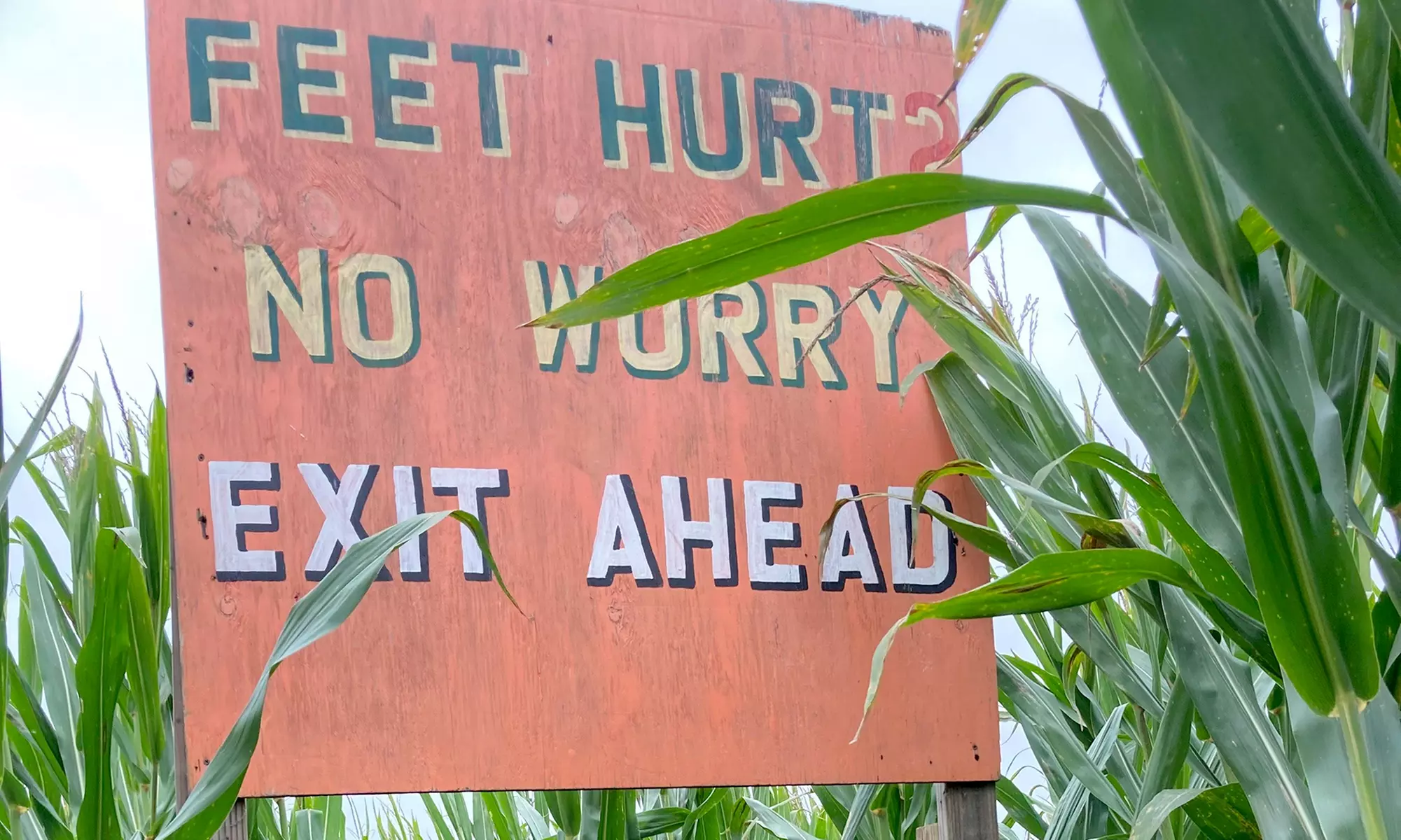 Admission to Flashlight Corn Maze Experience with Cider Up to 6