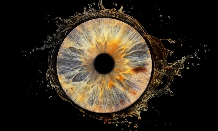 Image 4: Je oog als kunstwerk: Irisshoot voor 1 of 2 personen