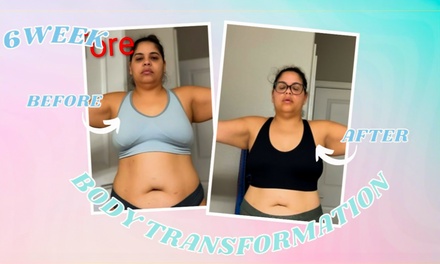 Two Weeks of Online Fitness Classes - Wellness Peak Nutrition Tampa, FL