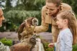 Saisonkarte Gold für 1 Person für den Weltvogelpark Walsrode (15% sparen) - Image 6