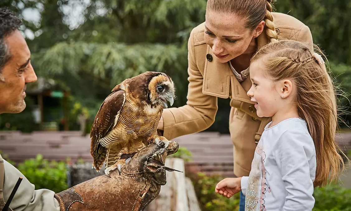 Saisonkarte Gold Weltvogelpark Walsrode