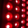 Image 1: One, Two, or Three Red Light Therapy Sessions with Near-Infrared