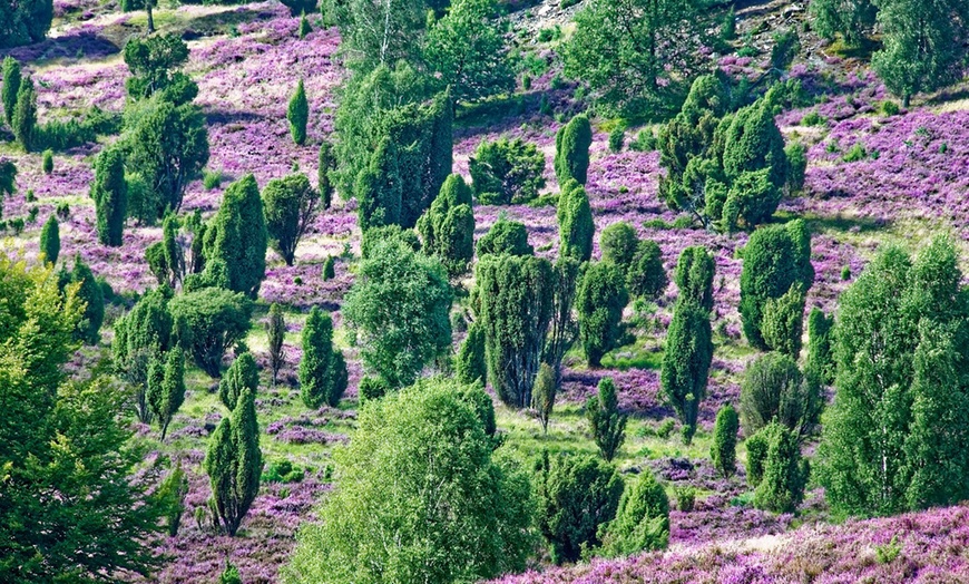 Image 18: Lüneburg: 1-4 Nächte inkl. Frühstück