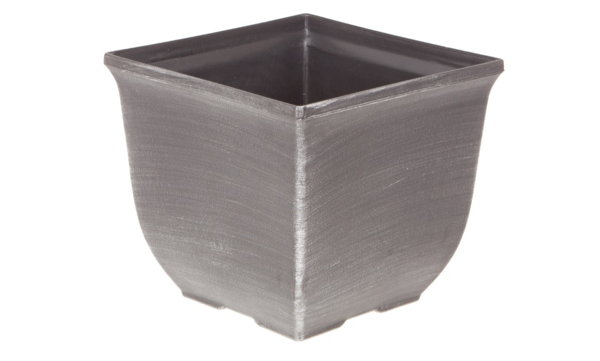 Image 2: YouGarden Two-Pack Easy Care Standard Bay Trees with Tulipa Planters