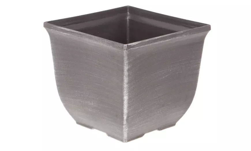 Image 2: YouGarden Two-Pack Easy Care Standard Bay Trees with Tulipa Planters
