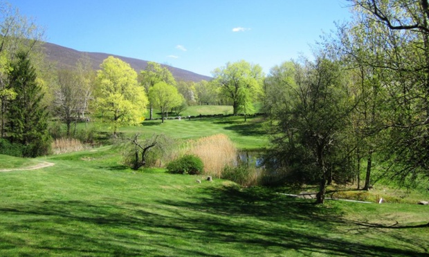 What to expect media