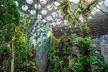 Guided Golden Gate Park Walking Tour with California Academy of Sciences Ticket - Optional VIP Upgrade - Second Medium