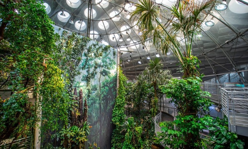 Image 4: Guided Golden Gate Park Walking Tour w/ California Academy of Sciences