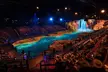 One Adult: Peak or Off-Peak Ticket to the Australian Outback Spectacular (Up to 25% Off) - Image 2