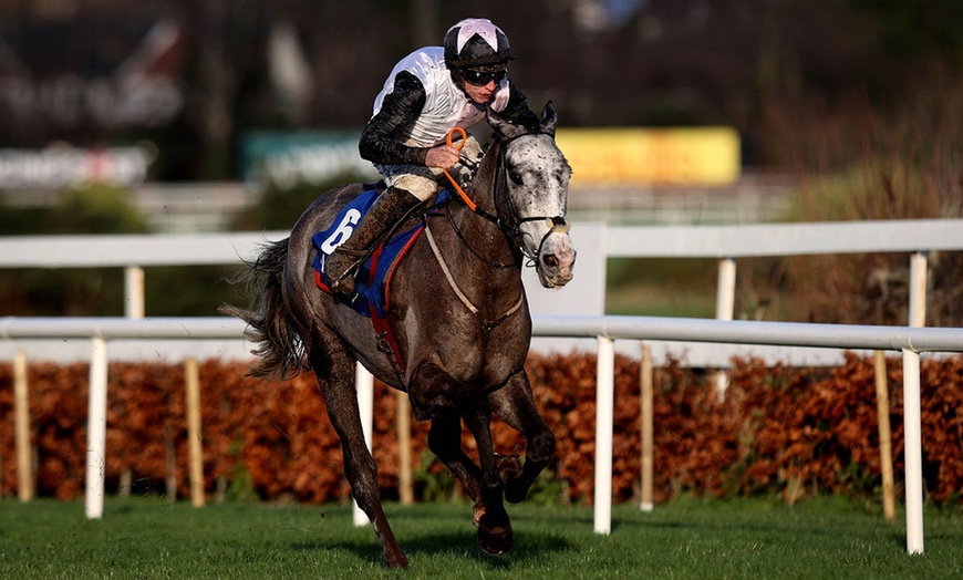 Image 7:  Tickets to the Leopardstown Christmas Festival - Racecourse in Dublin