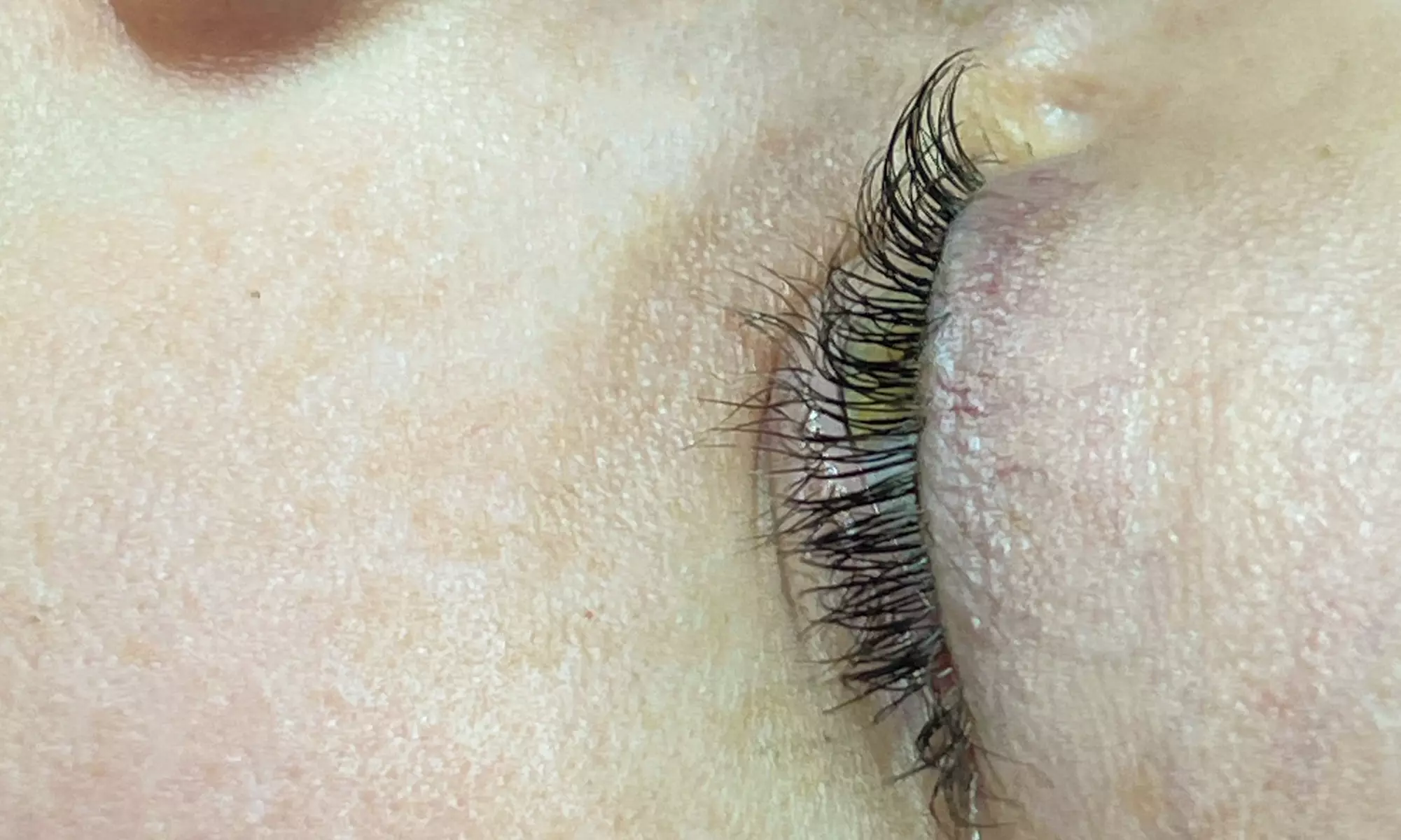 One Eyelash Lift, Tint Treatment, or Full Set of Eyelash Extensions