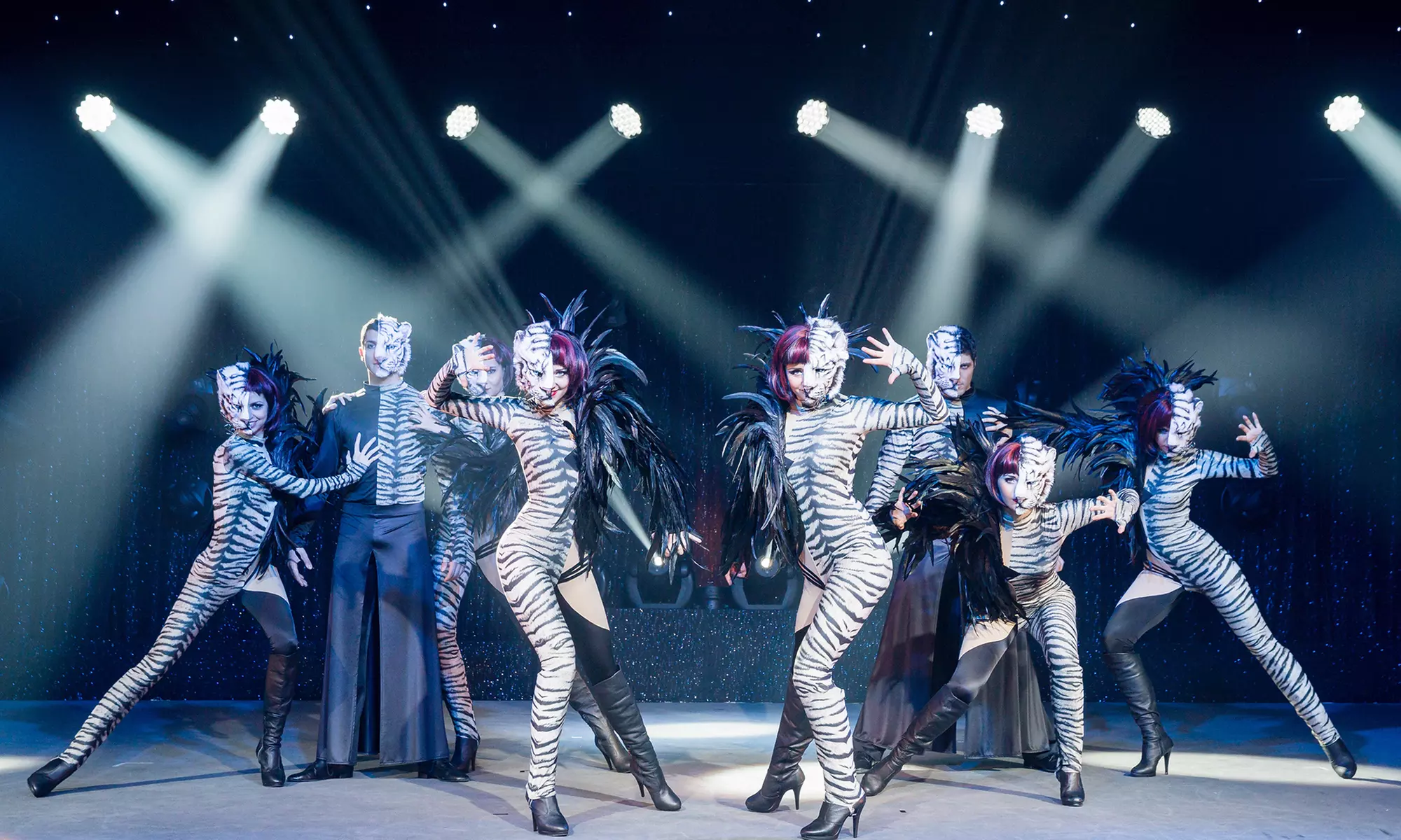 Ticket für Sarrasani Trocadero - „Mystique“ von Novemver bis Januar