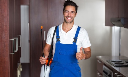 Basic internal and external pest control - Pest Control Brisbane Wide