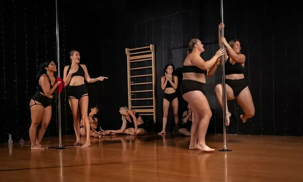 Pole Fitness Classes Intro to Pole Series Class or Private Pole Party